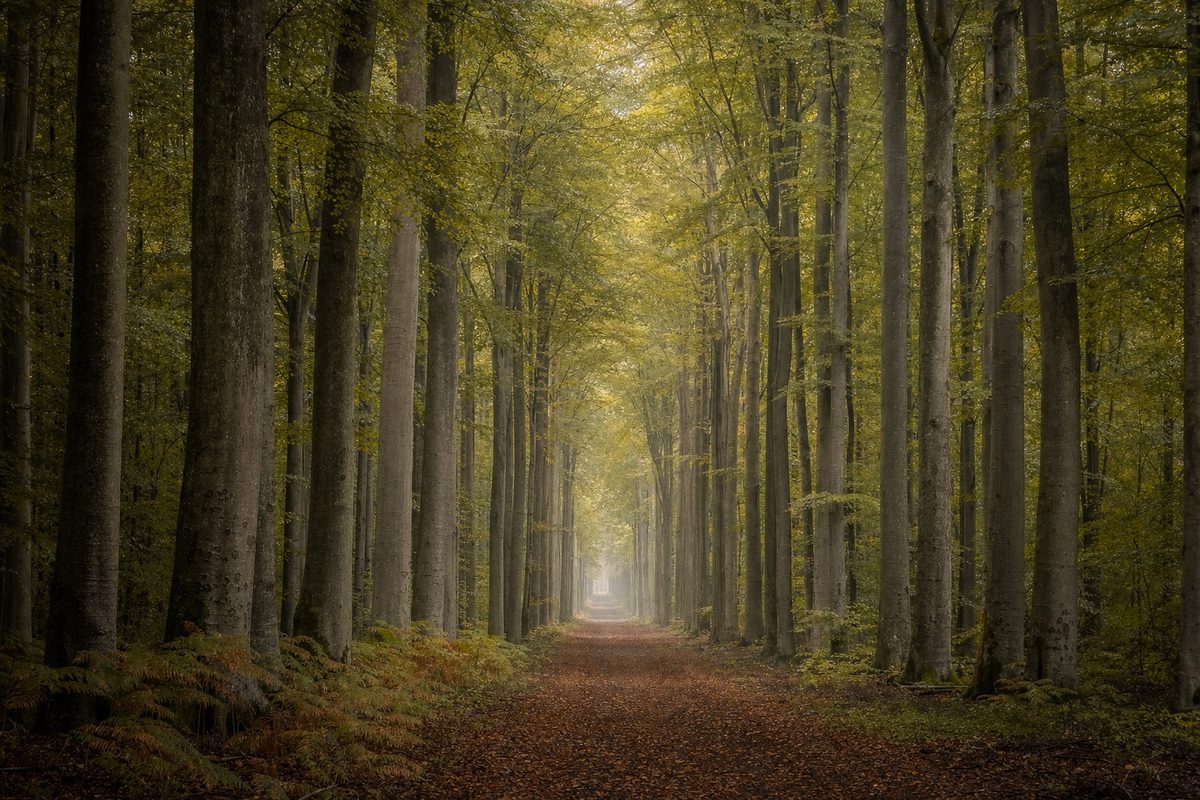 Nature et loisirs autour de Terres de Bord (27340)